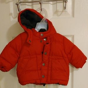 BabyGap puffy coat